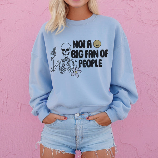 Not a big fan of people (sweater or tee)