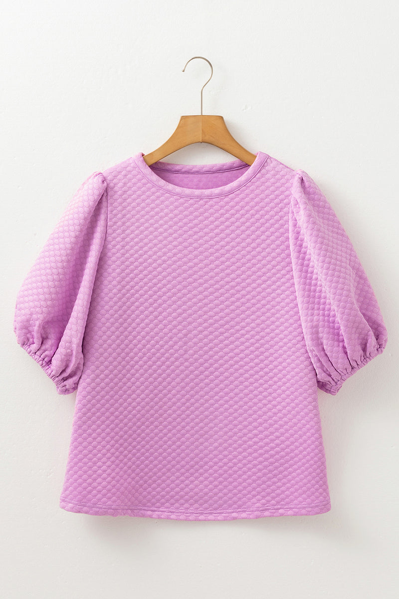 Phalaenopsis Solid Textured O Neck Puff Sleeve Blouse