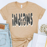 Aesthetic Spirit tee (multiple mascot options)