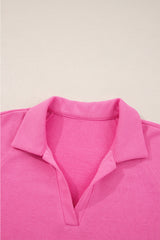 Wisteria Solid Color Collared Pullover and Central Seam Pants Set