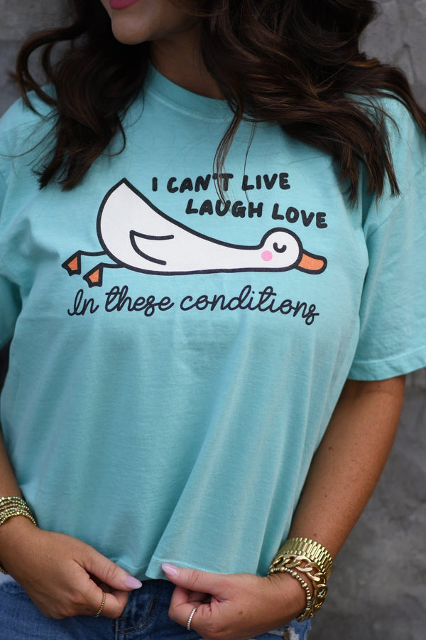 I can’t live laugh love in these conditions comfort colors
