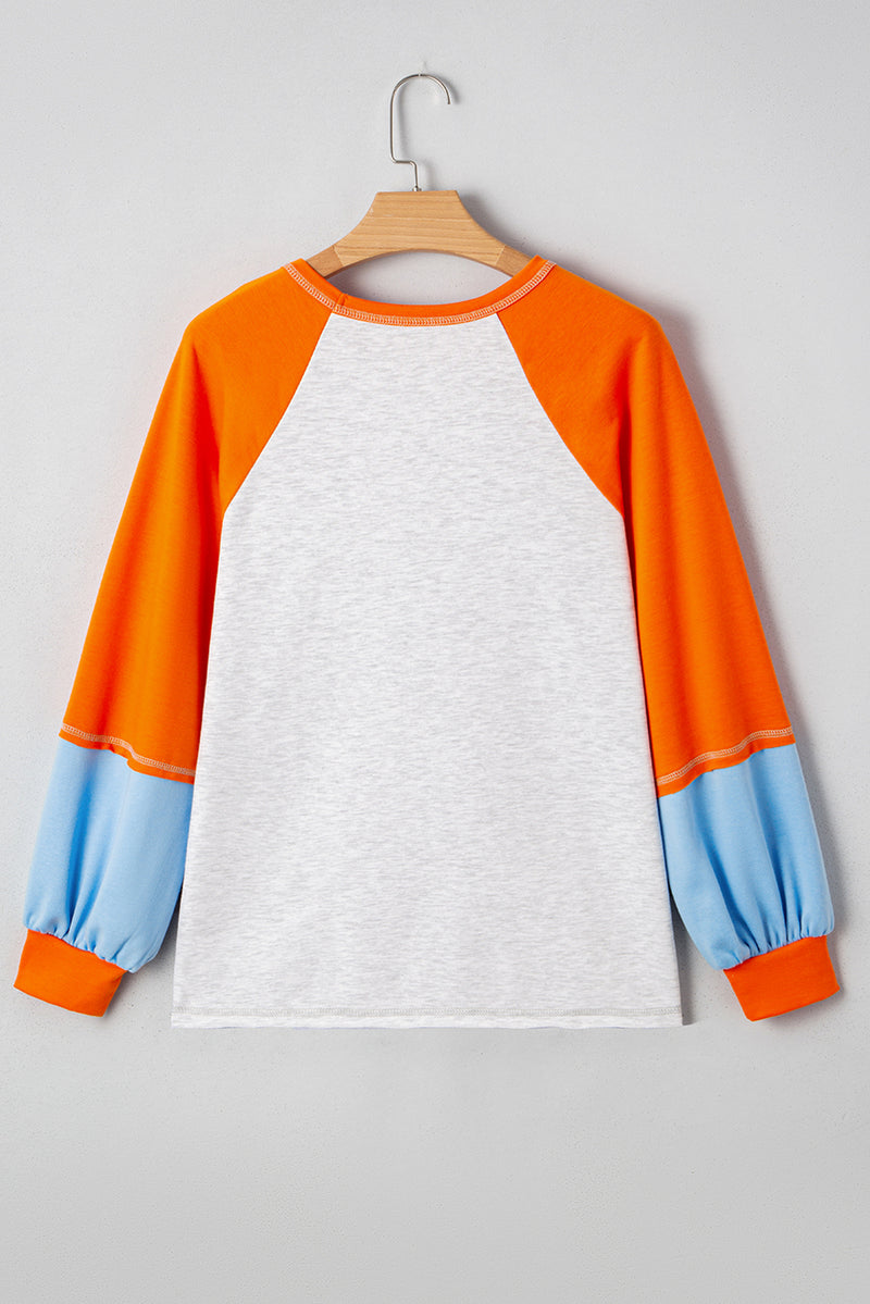 Light Grey Thanksgiving Turkey Graphic Sequins Patch Color Block Raglan Sleeve Top