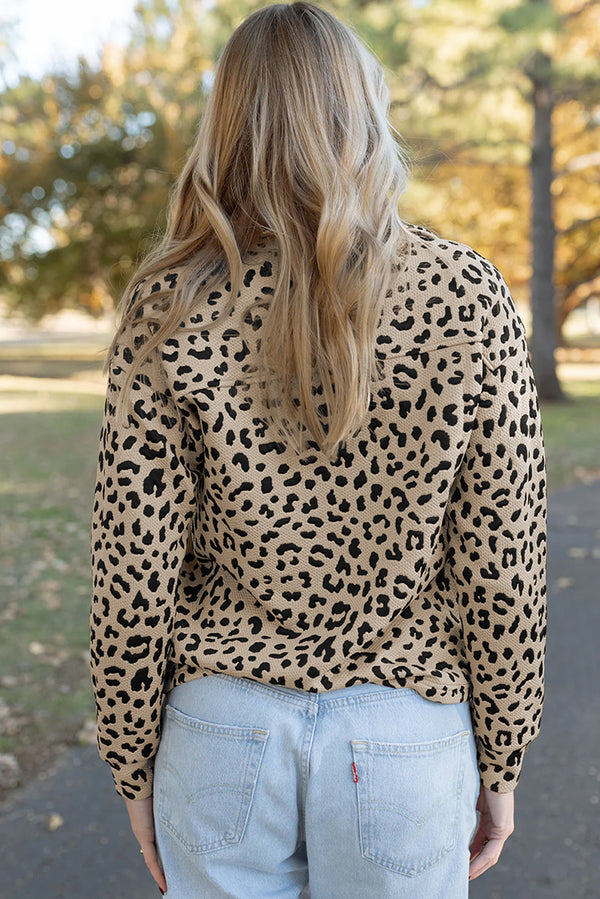 Parchment Allover Leopard Print Quarter Zip V Neck Top