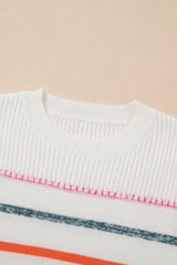 Black Colorful Striped Ribbed Trim Round Neck Sweater
