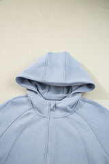 Jet Stream Half Zip Thumbhole Sleeve Hoodie Active Pants 2pcs Outfit